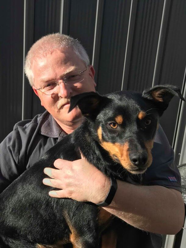 About Us Expert Pet Healthcare West Queanbeyan Veterinary Hospital