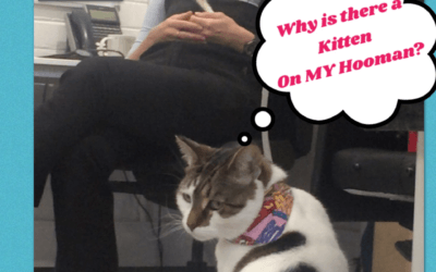 Nursing with Norma February/March 2019