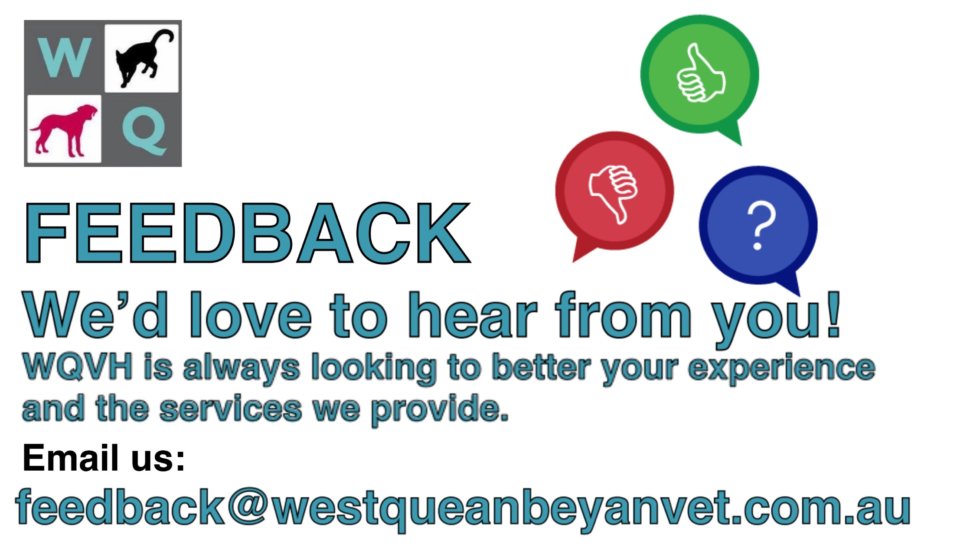 West Queanbeyan Veterinary Hospital Expert & Affordable Pet Care