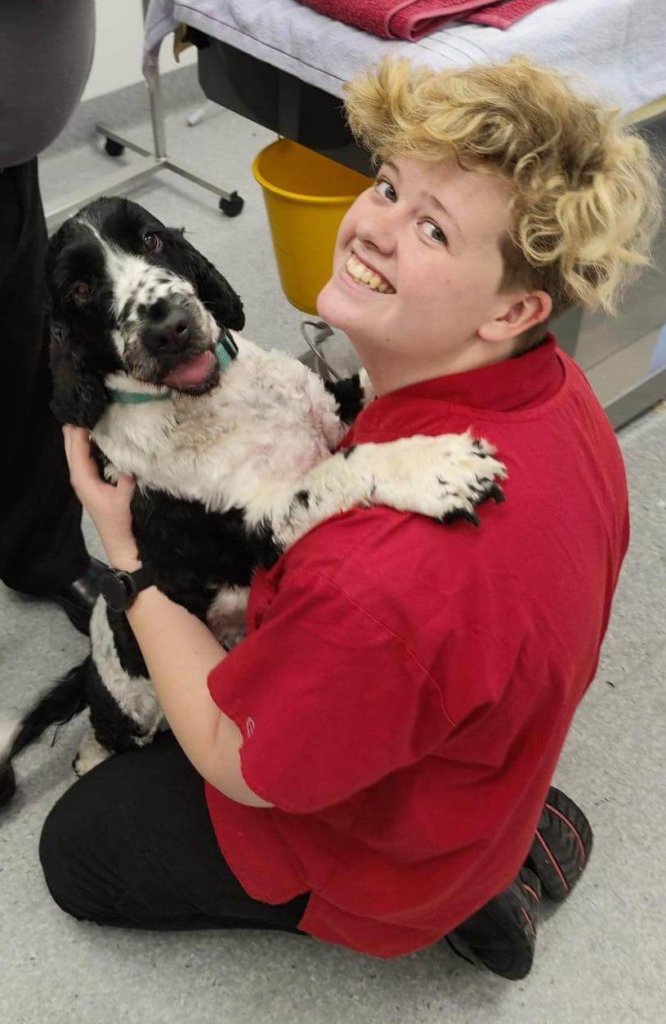 About Us Expert Pet Healthcare West Queanbeyan Veterinary Hospital