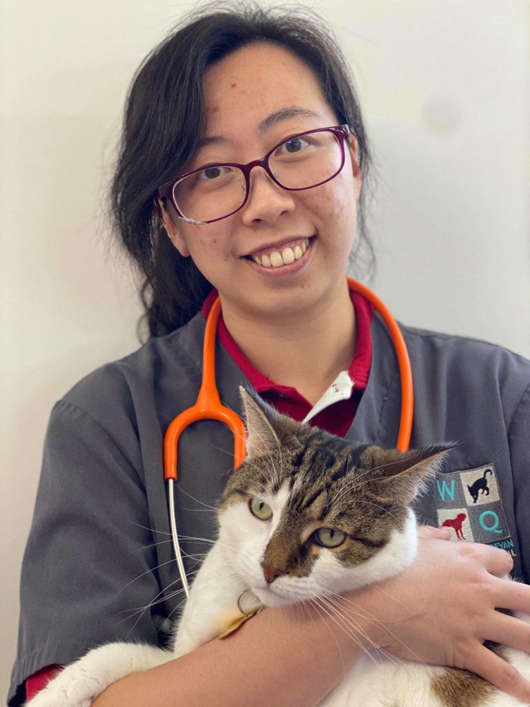 About Us Expert Pet Healthcare West Queanbeyan Veterinary Hospital