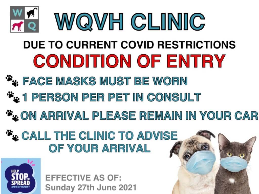 West Queanbeyan Veterinary Hospital Expert & Affordable Pet Care