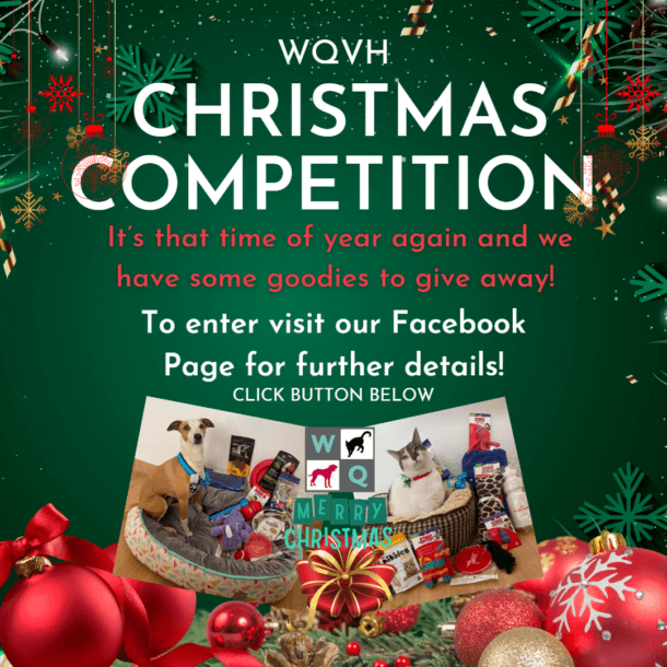 West Queanbeyan Veterinary Hospital Expert & Affordable Pet Care