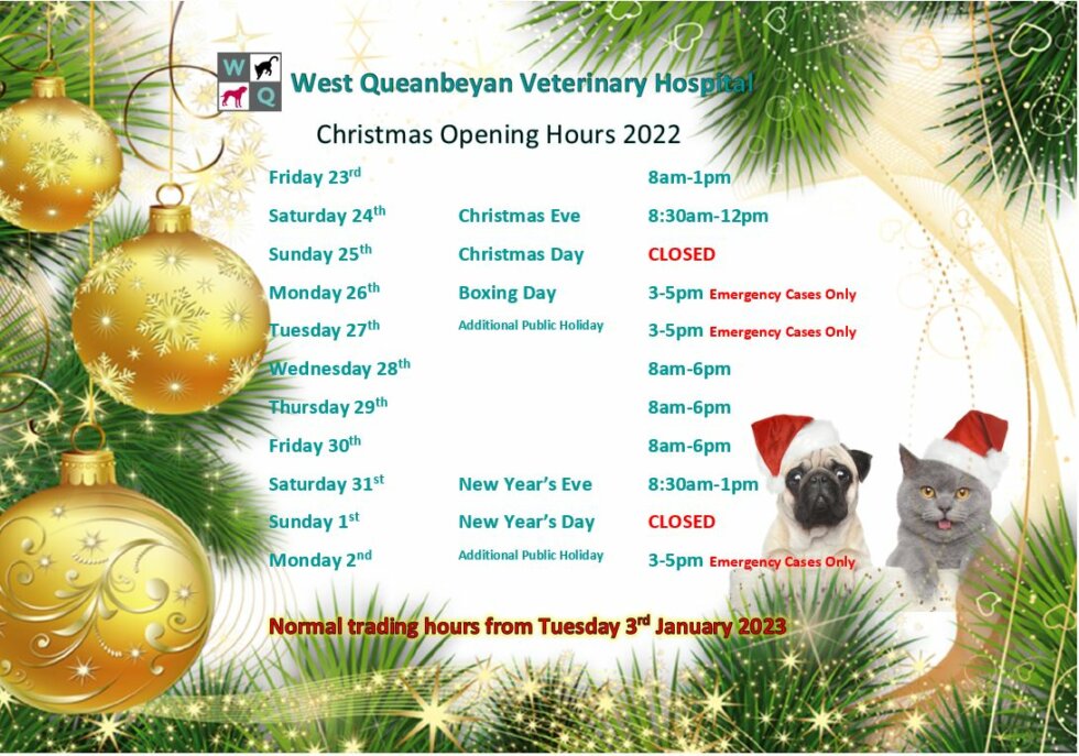 Contact the friendly team at West Queanbeyan Veterinary Hospital