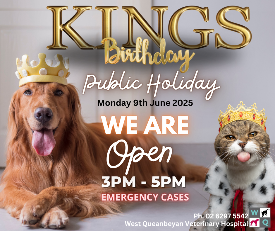 King's Bday 2025