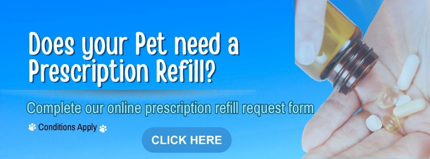 Prescriptione Refill Request Form